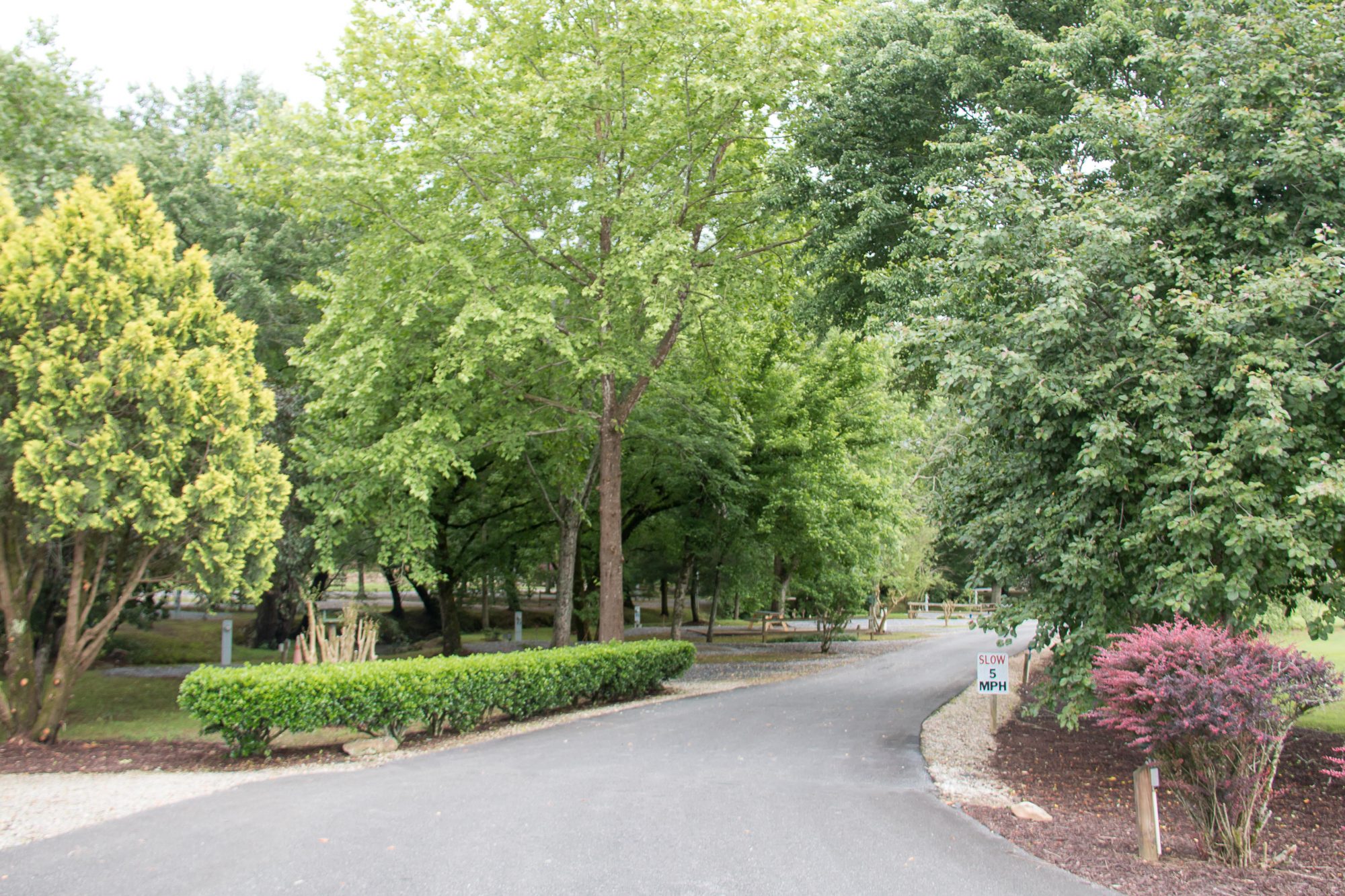 FAQs about RV Parks & RV Resorts Peachtree Cove