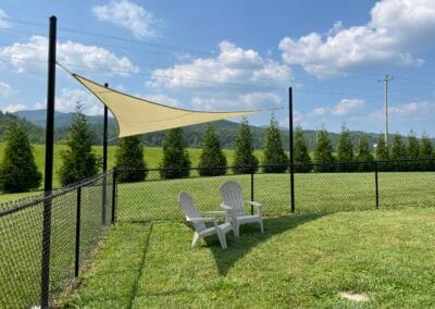 Shade in the Dog Park